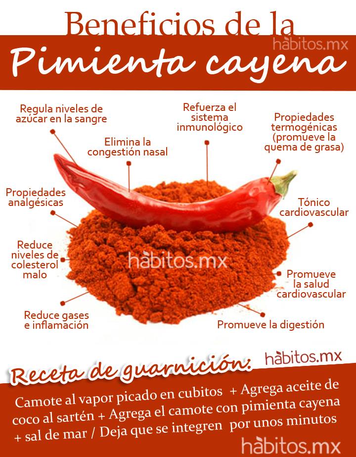 basura Contratista pasaporte pimienta de cayena otros nombres caballo